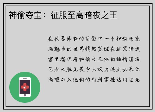 神偷夺宝：征服至高暗夜之王